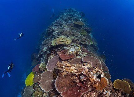 RAJA AMPAT